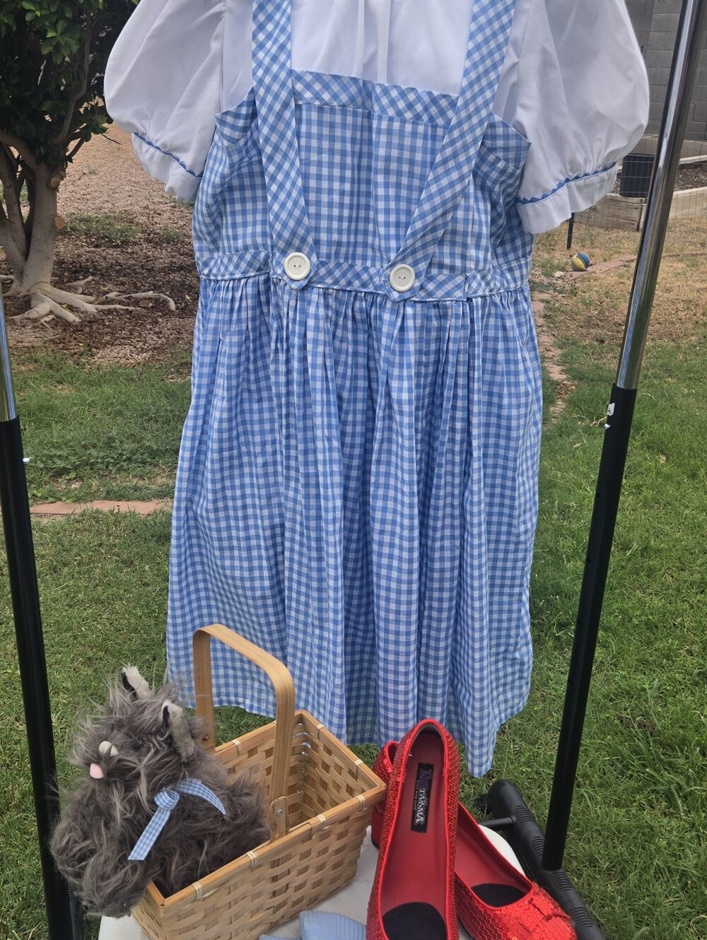 💙 Custom-Made Dorothy Wizard of Oz Costume – COMPLETE SET – Adult 14–16,